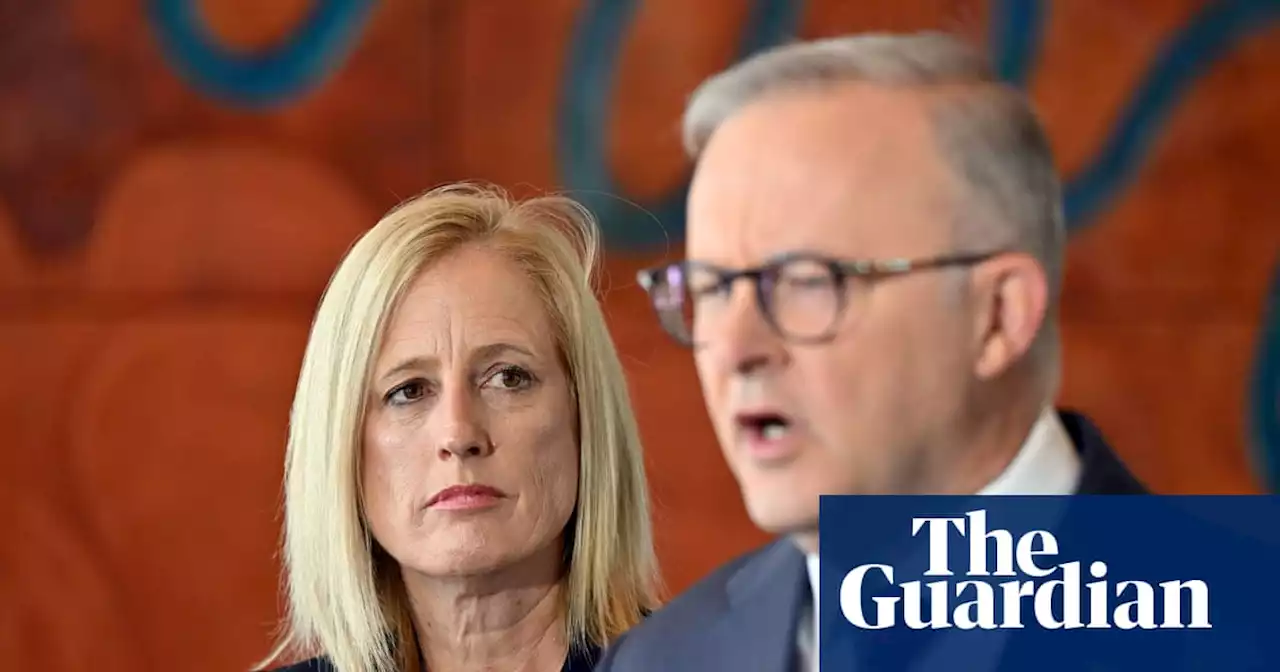 Labor approves $9.5m for ‘facts of the voice’ but says it is not funding de-facto yes campaign