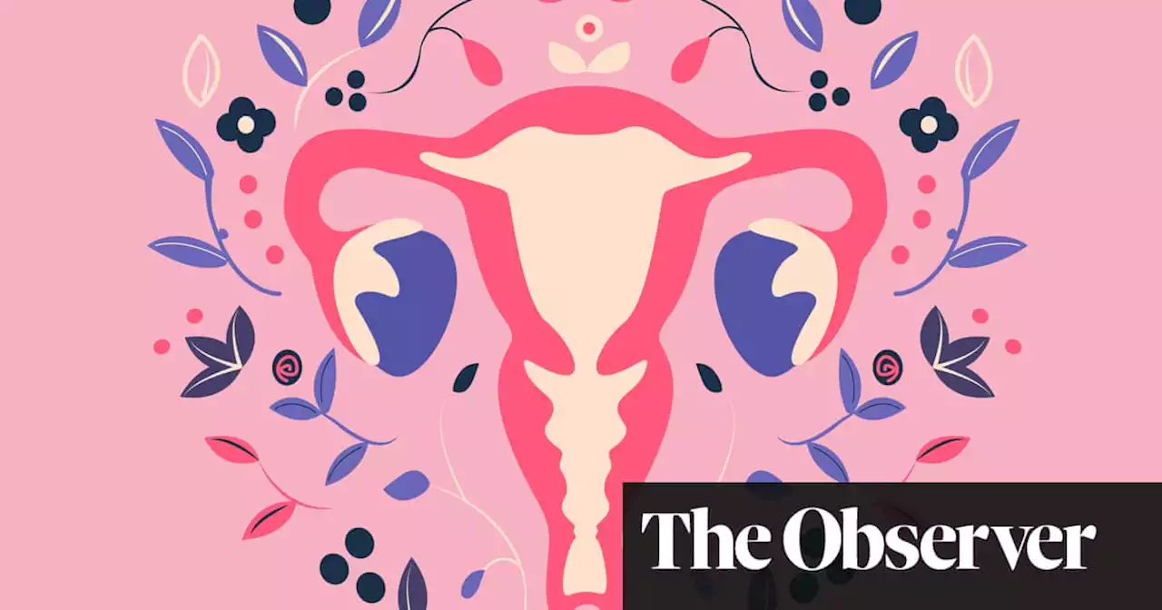 Womb: The Inside Story of Where We All Began by Leah Hazard review – the body’s misunderstood marvel