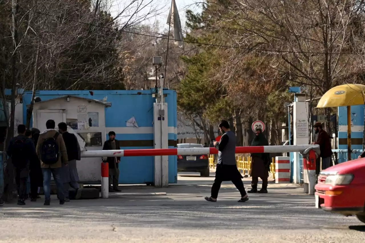 Afghan universities reopen but women still barred | The Guardian Nigeria News - Nigeria and World News