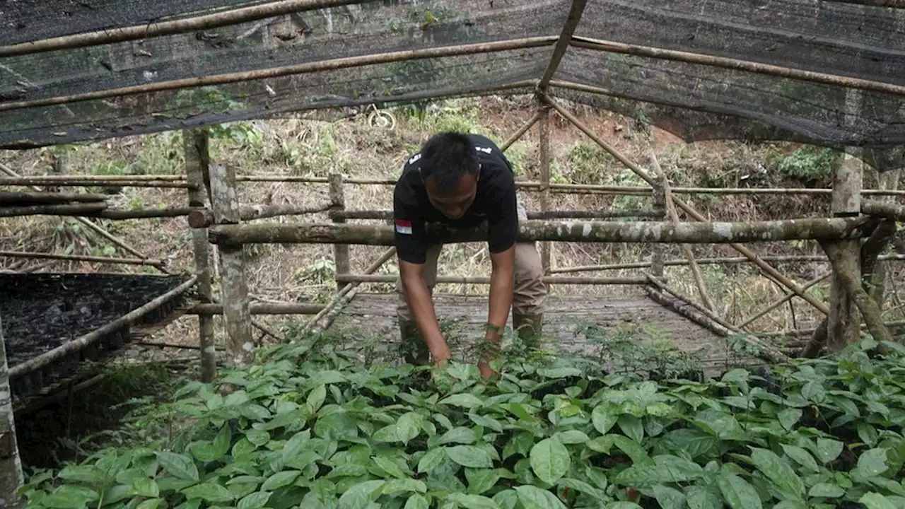 Pengembangan Usaha Perhutanan Sosial Perlu Pendampingan