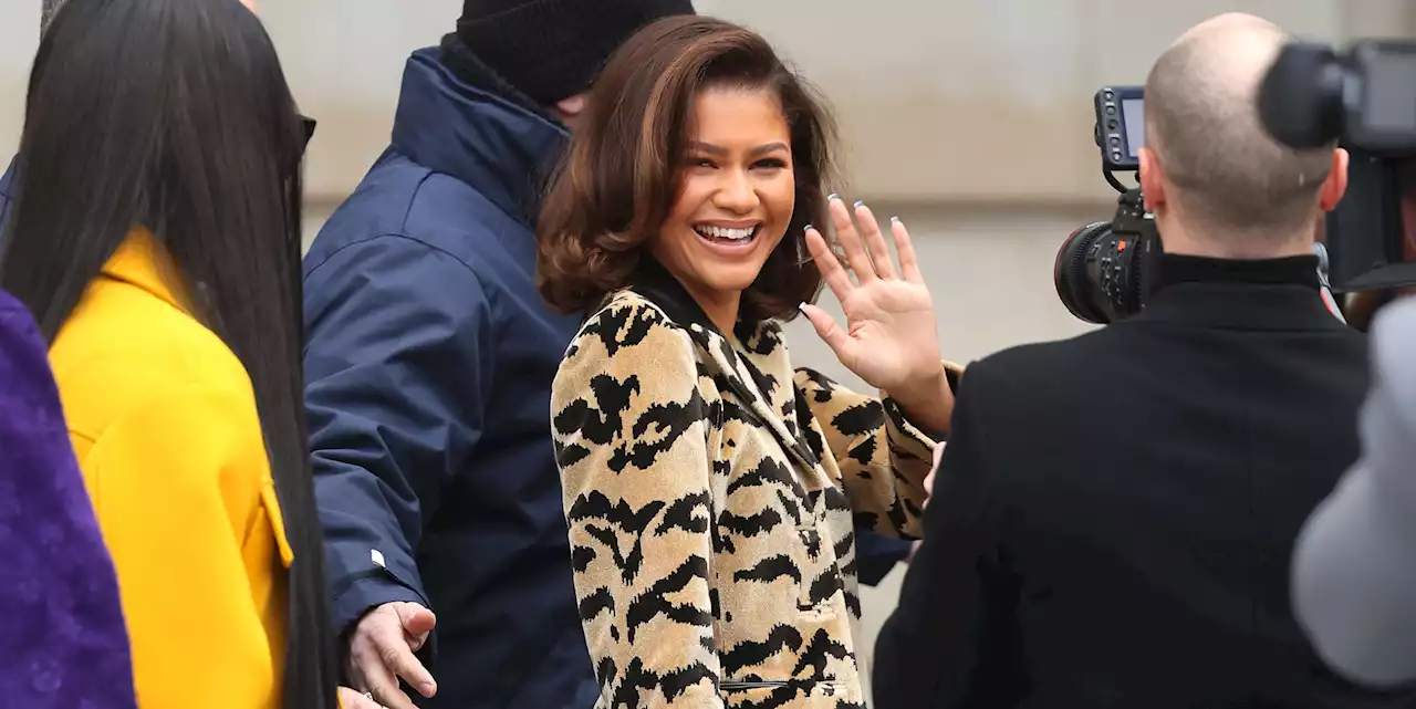 Zendaya Proves She Can Pull Off Anything in a Tiger-Print Short Suit