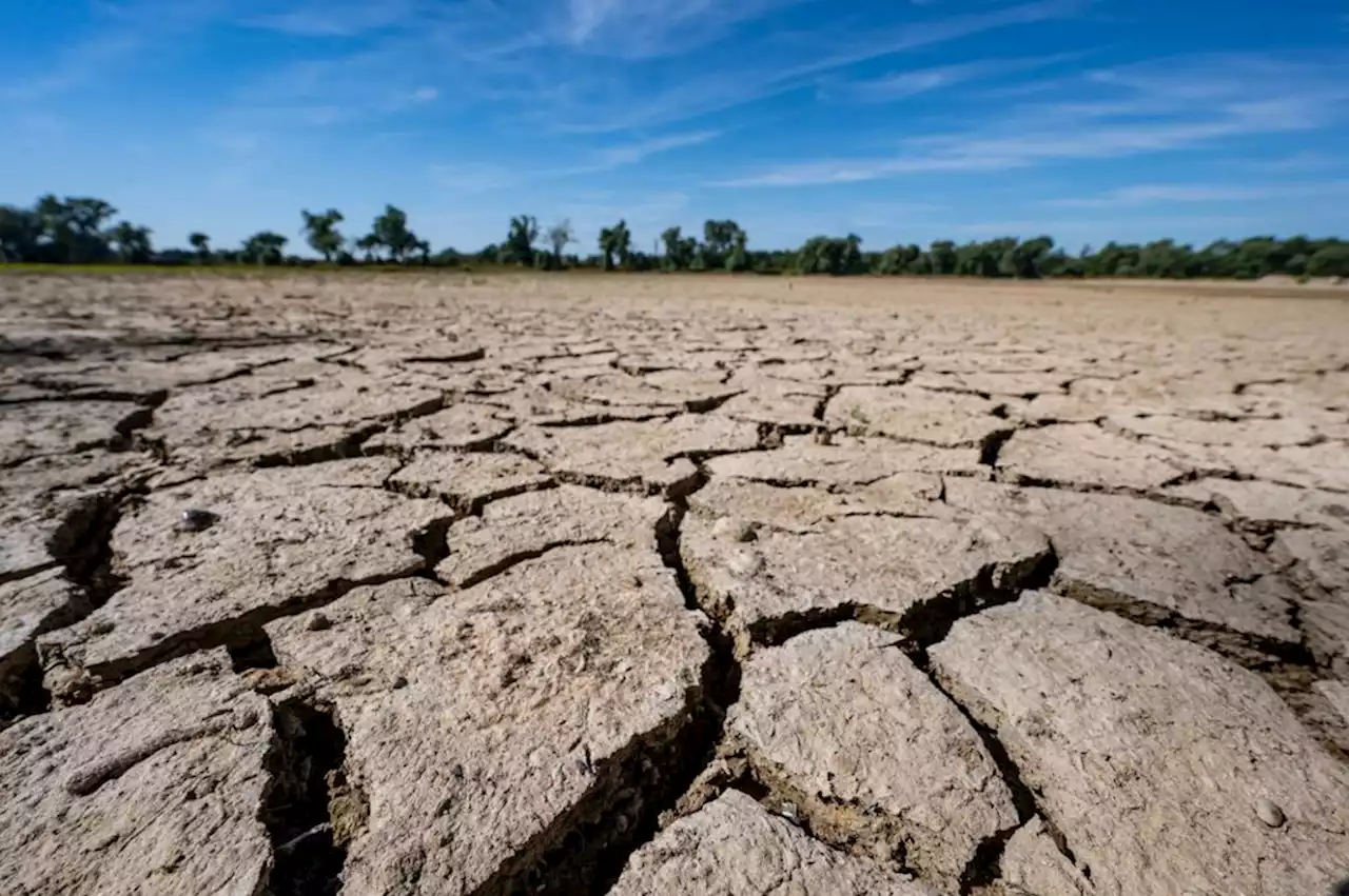 Studie: Klimawandel könnte Deutschland Hunderte Milliarden kosten - idowa