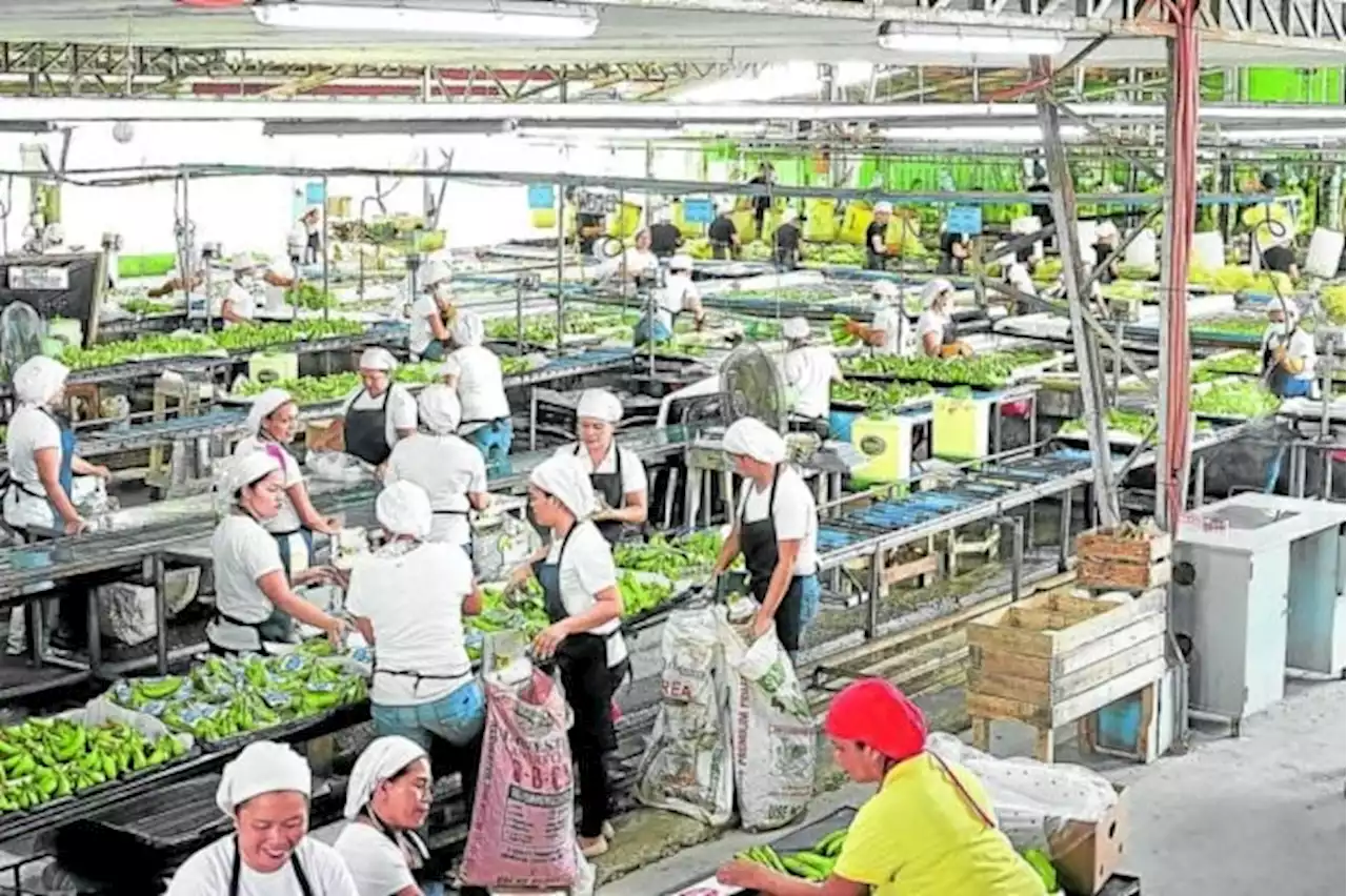 RCEP seen to boost PH agricultural exports