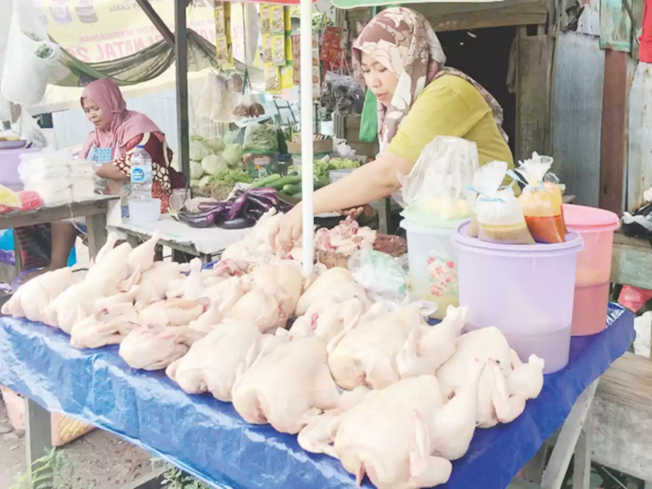 Ayam Ras Kecil Lebih Mahal, Tembus Rp30 Ribu per Ekor