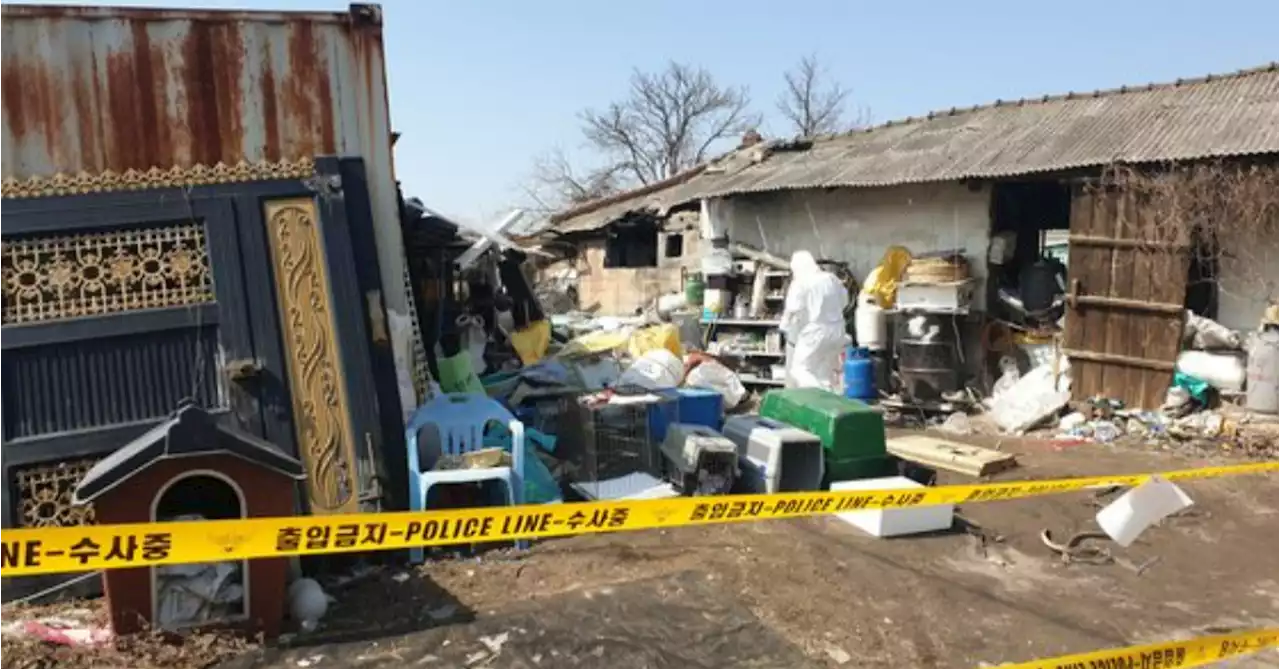 매년 풍기던 악취 정체…개 수백마리 죽은 그곳 끔찍한 광경 (영상) | 중앙일보