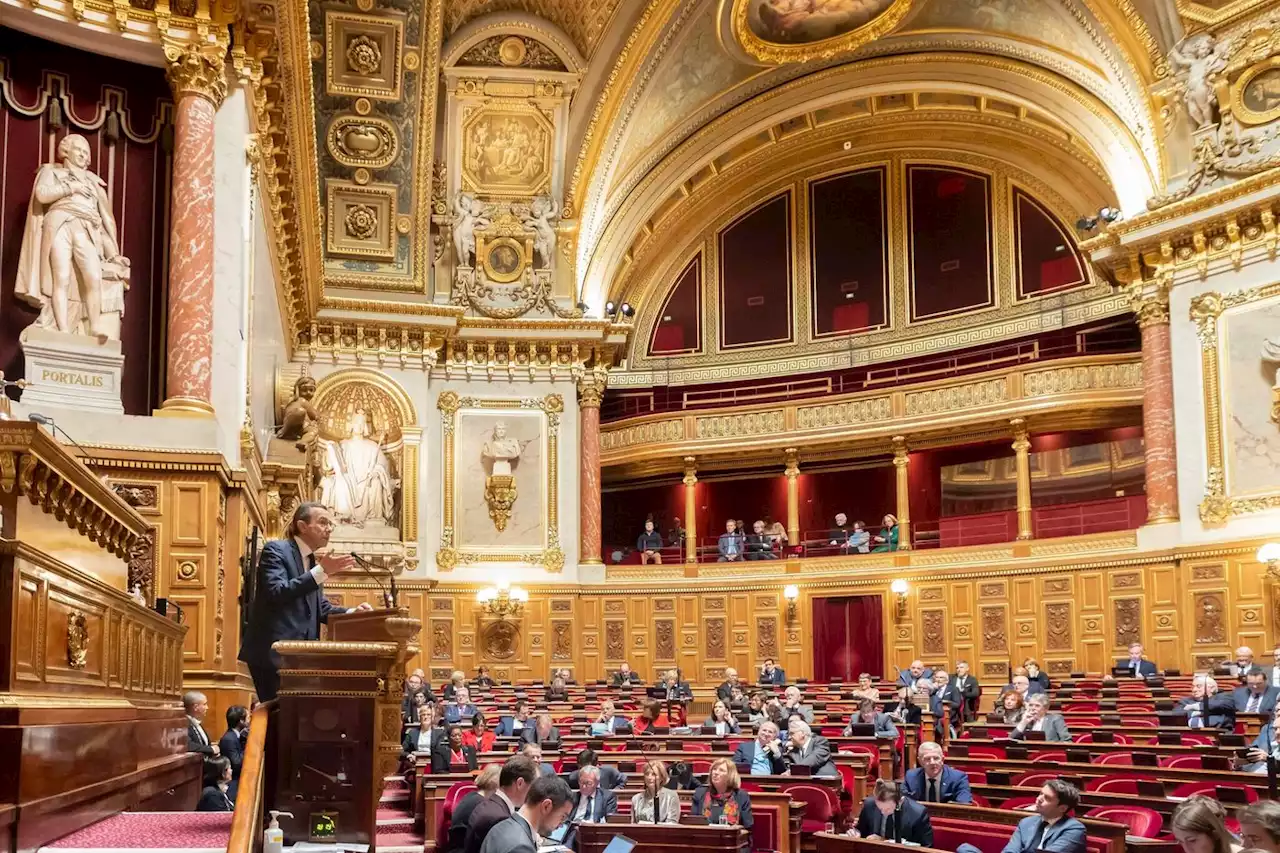 « Index seniors » : le Sénat exempte les PME