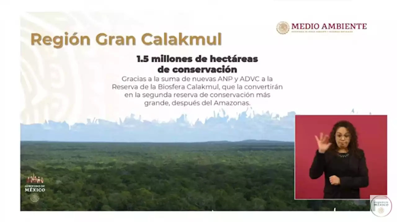 Gran Calakmul será la segunda reserva tropical más grande del mundo: Semarnat