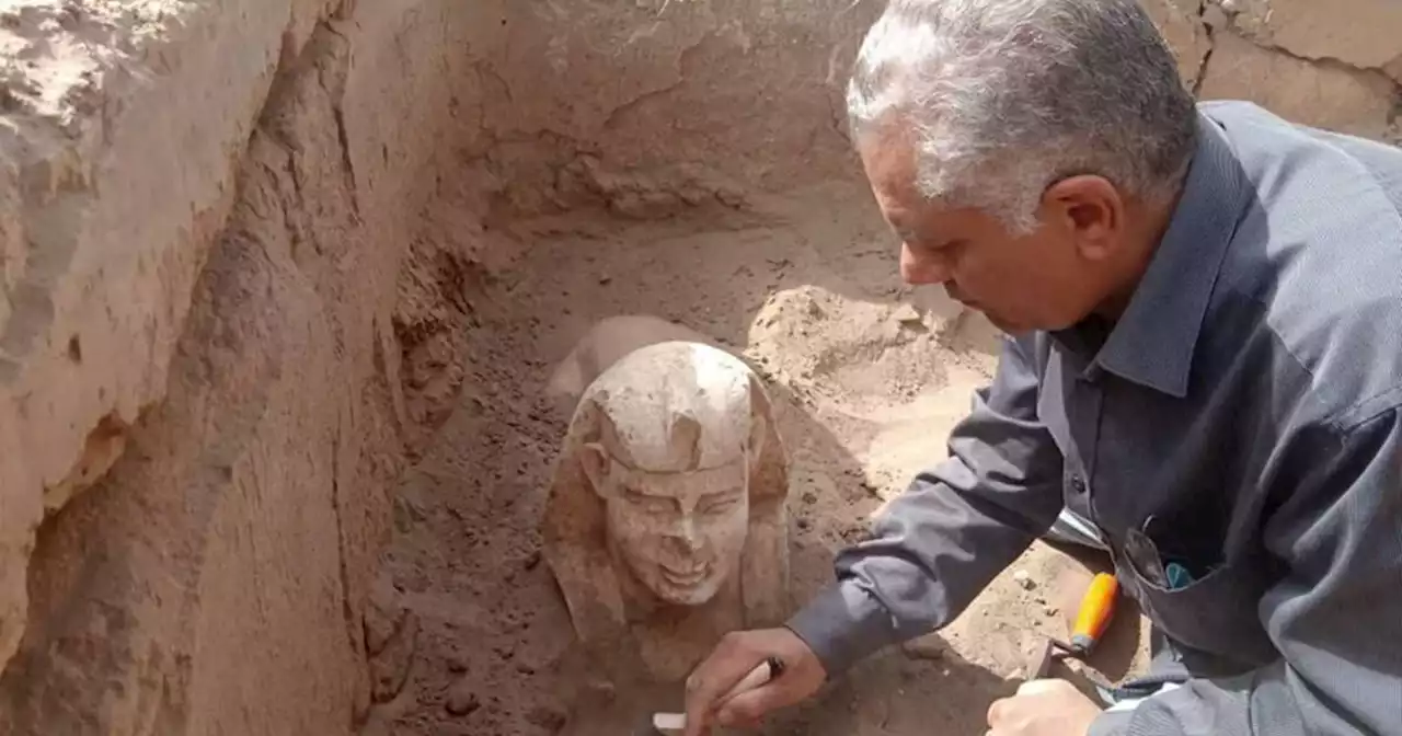 Un sphinx «souriant à fossettes» découvert en Egypte