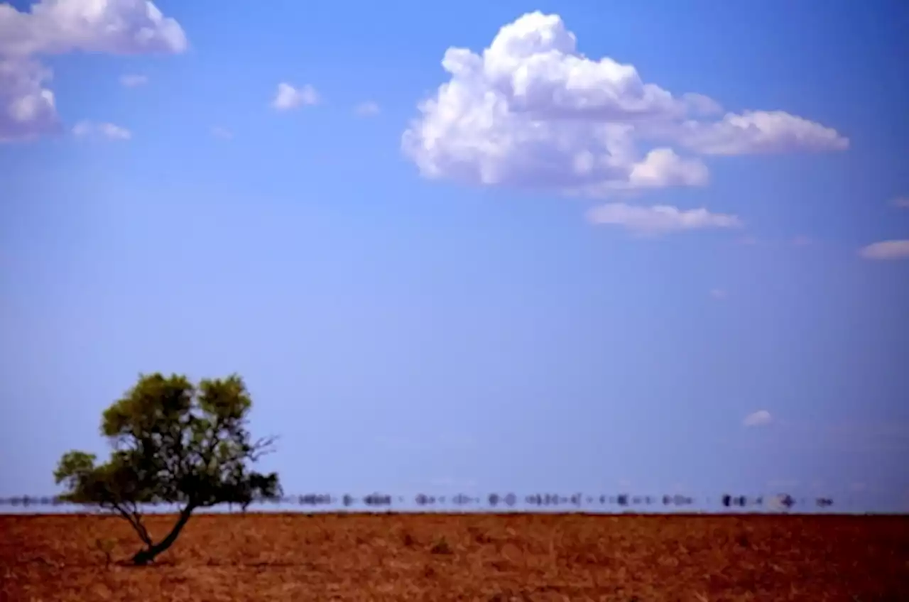 Sydney set to swelter through hottest day in more than two years