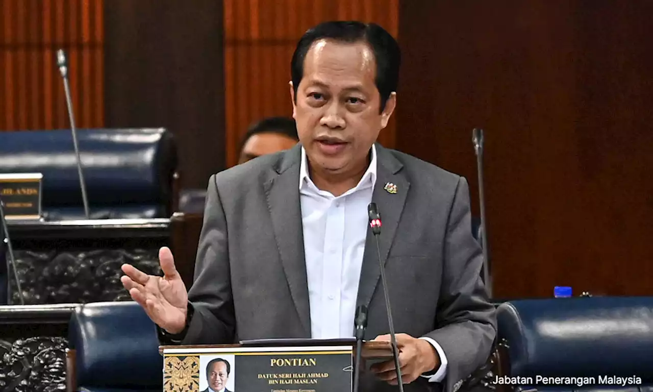 No economic downturn this year – Ahmad Maslan