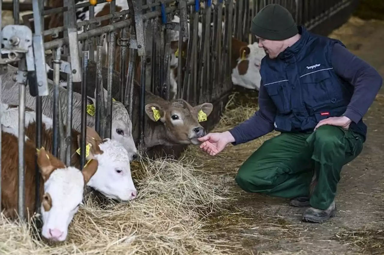 'Capital' spécial agriculture française : avons-nous encore de quoi nous nourrir ?