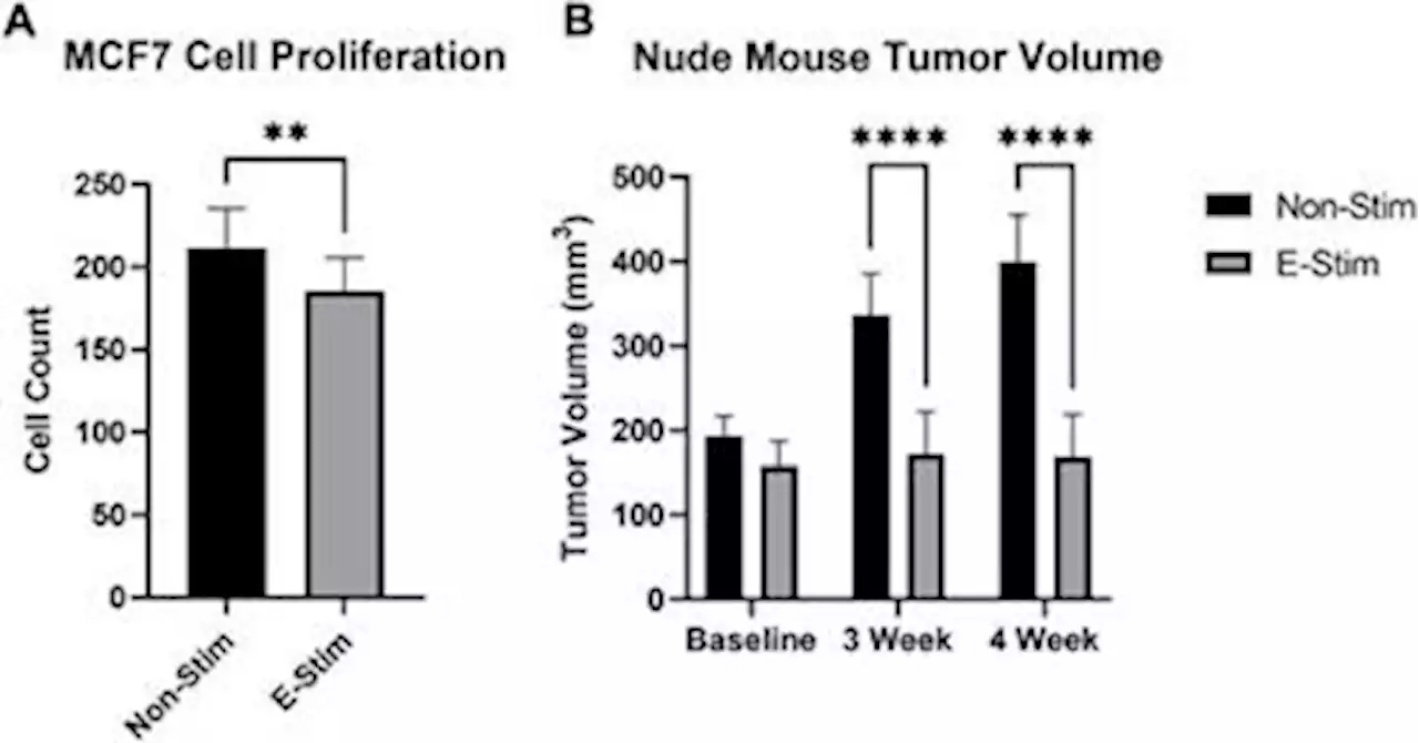 Frontiers | Myokines derived from contracting skeletal muscle suppress anabolism in MCF7 breast cancer cells by inhibiting mTOR