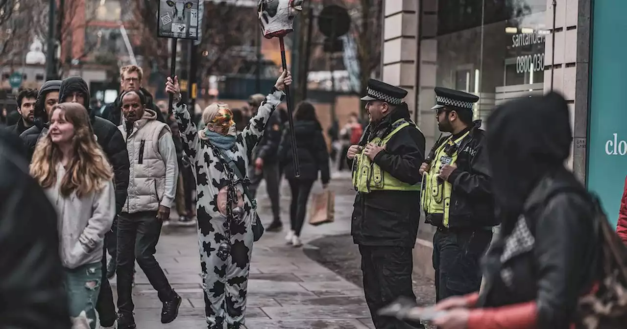 Vegan activists to stage mass protests outside Costa Coffee shops this weekend