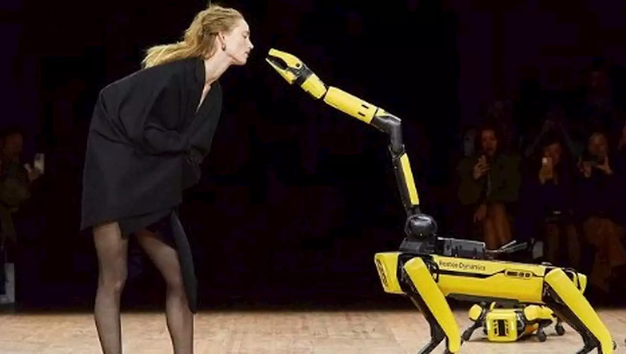 VIDÉO. Fashion Week : un chien-robot de Boston Dynamics déshabille un mannequin lors du défilé Coperni