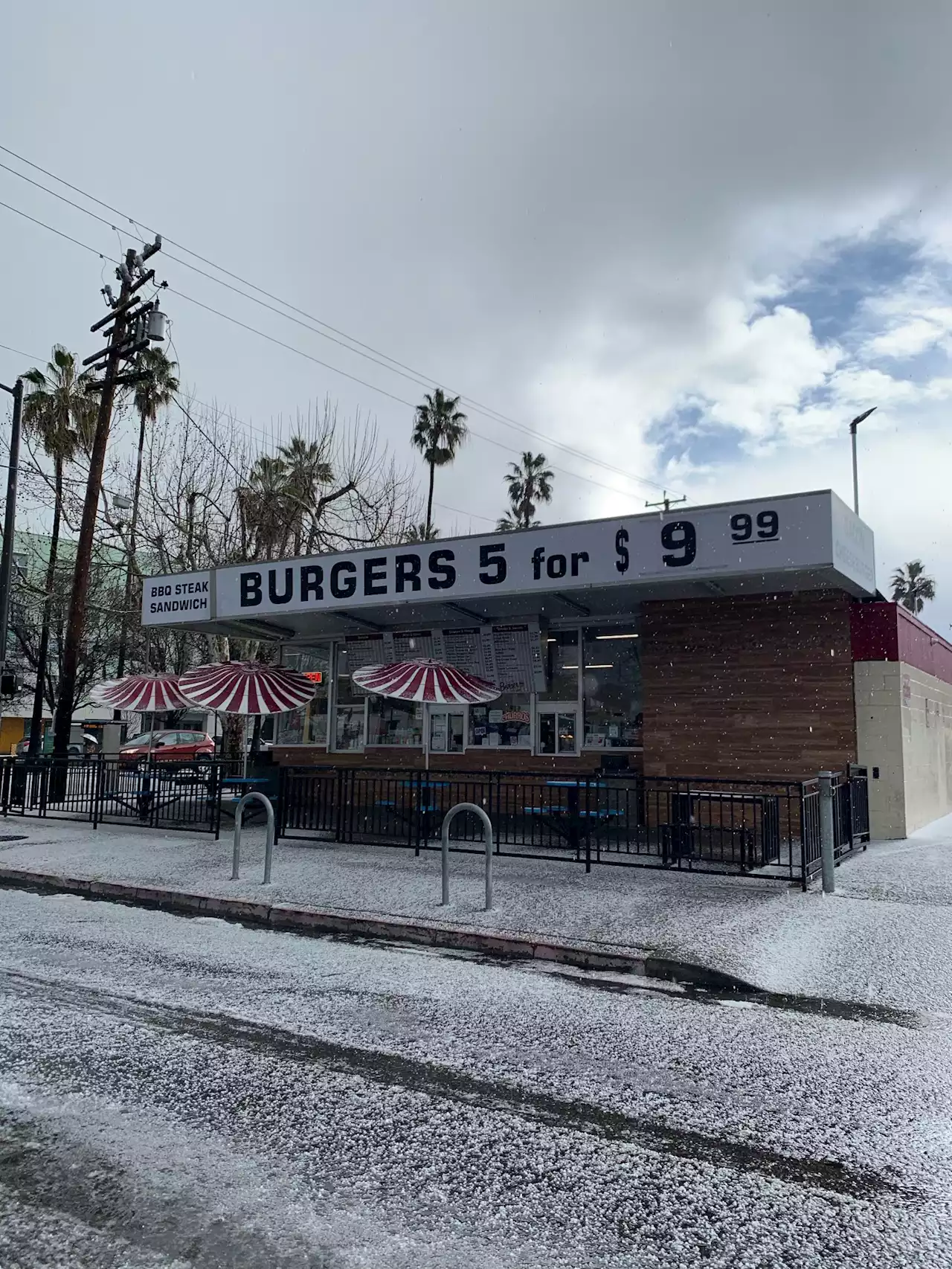 Hail Sighting in San Jose