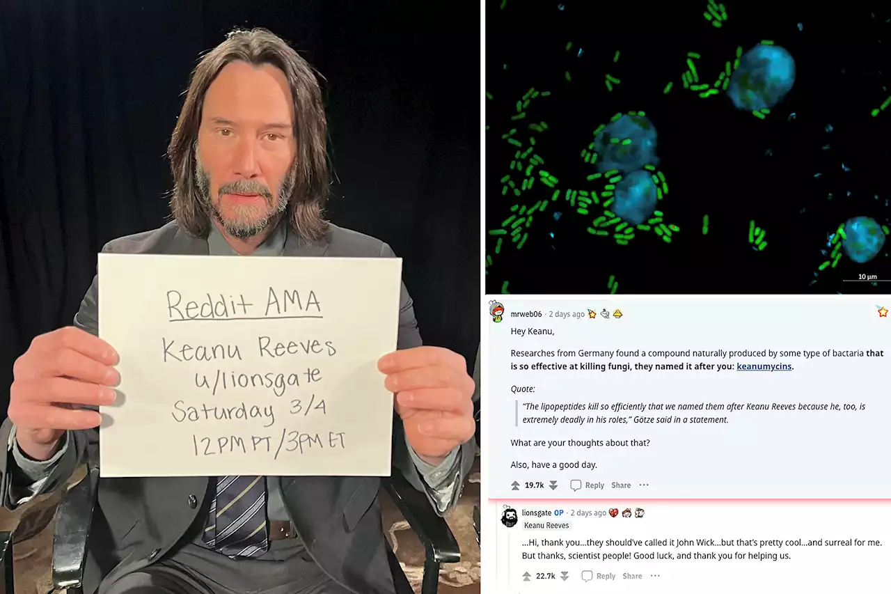 Keanu Reeves reacts to having fungus-killing bacteria named after him