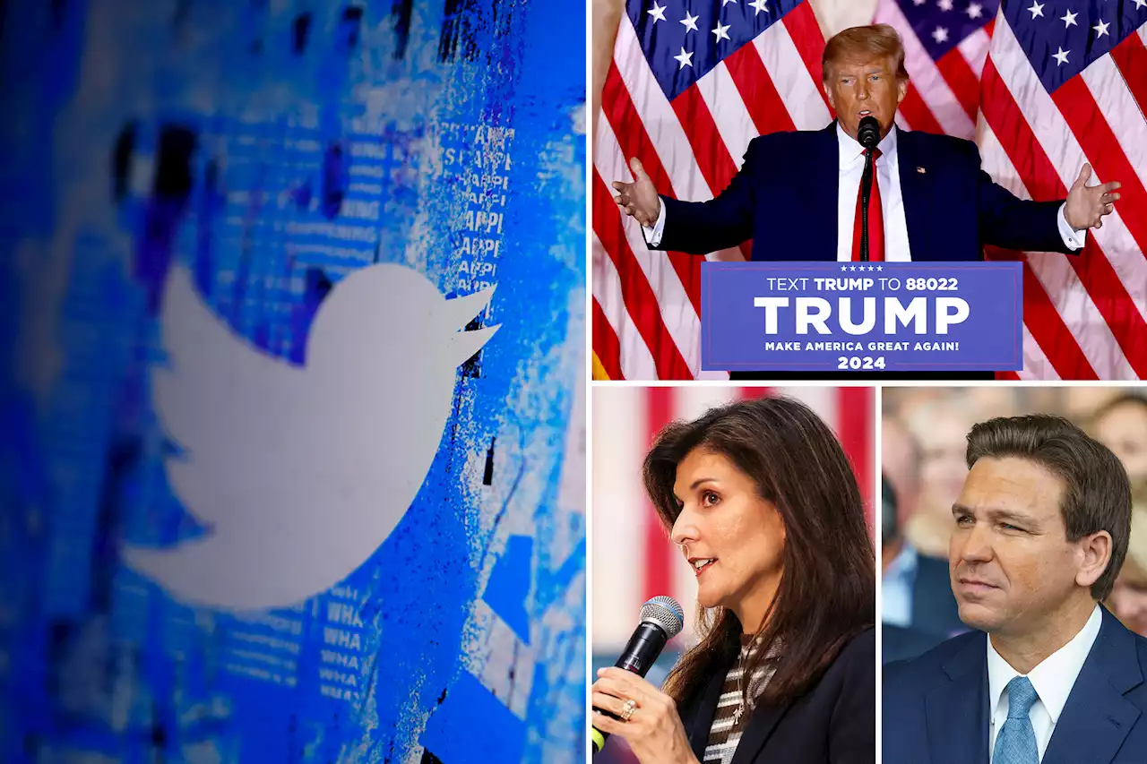 Network of Twitter bots lauds Trump and slams Haley, DeSantis: report