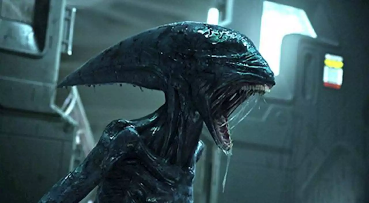 Alien: Dreharbeiten für neuen Standalone-Film starten in Kürze