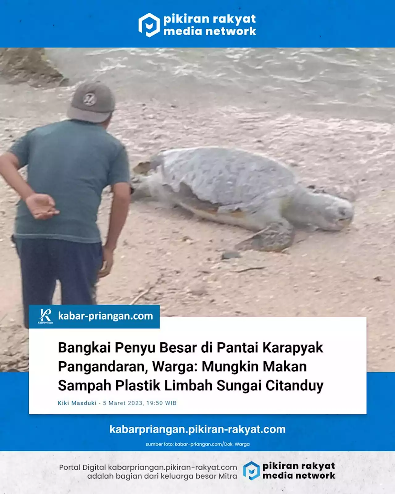 Bangkai Penyu Besar di Pantai Karapyak Pangandaran, Warga: Mungkin Makan Sampah Plastik Limbah Sungai Citanduy