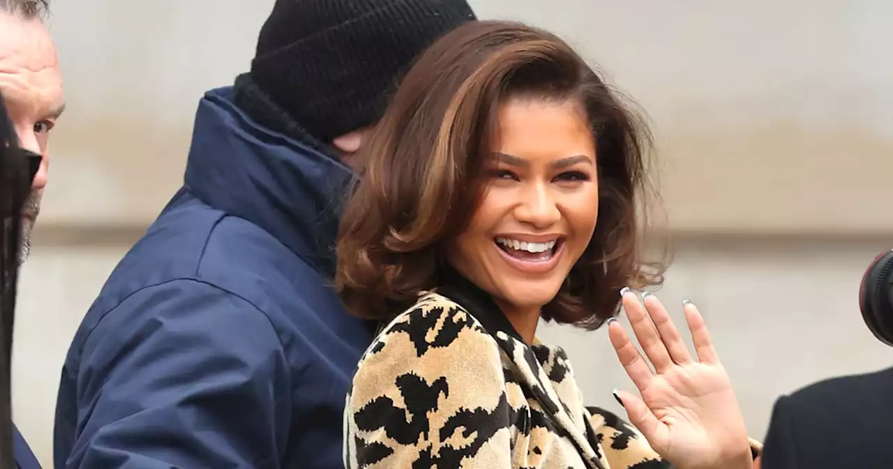 Zendaya Pairs a Tiny Micro Bra With Tiger-Print Boots