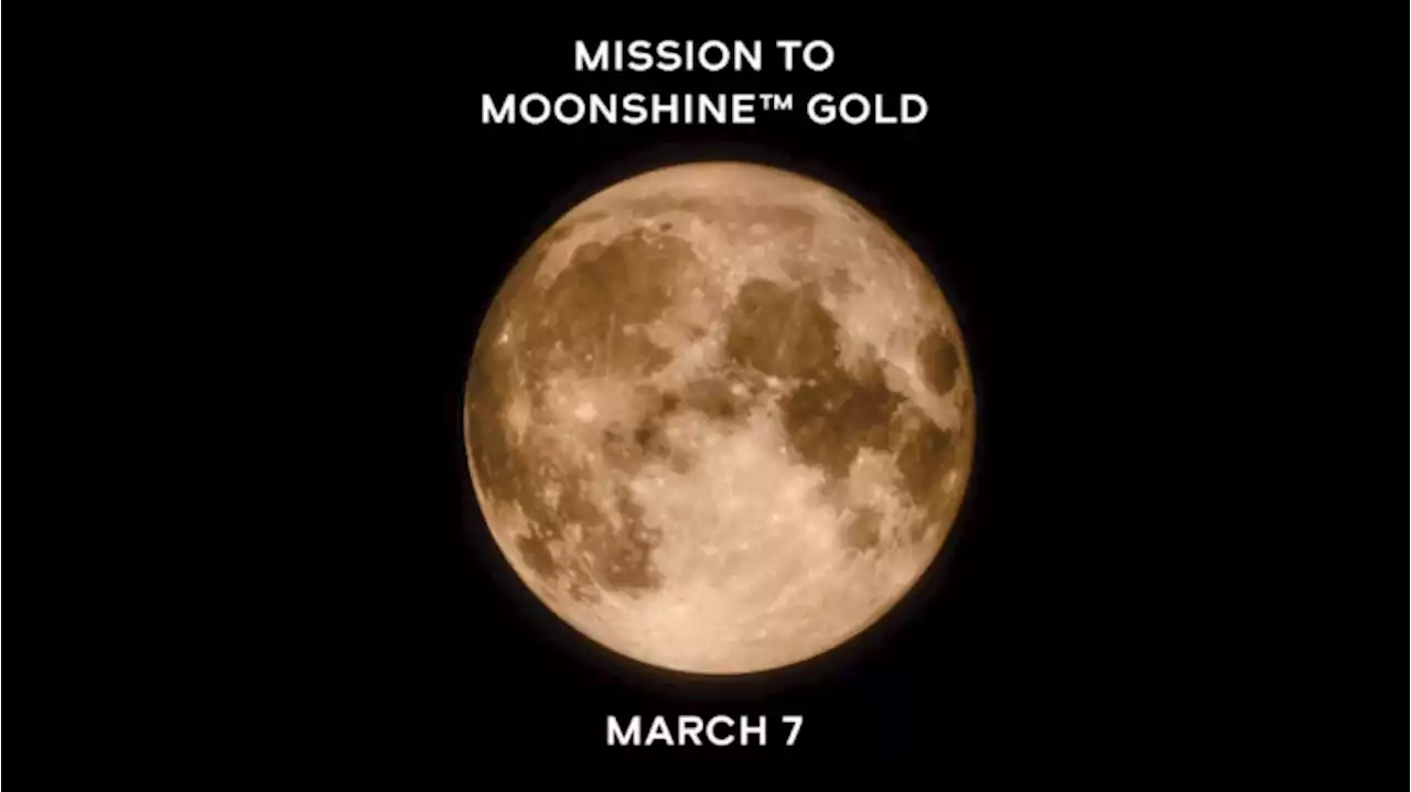 Omega and Swatch Are Dropping a New MoonSwatch, and This One Might Be Gold