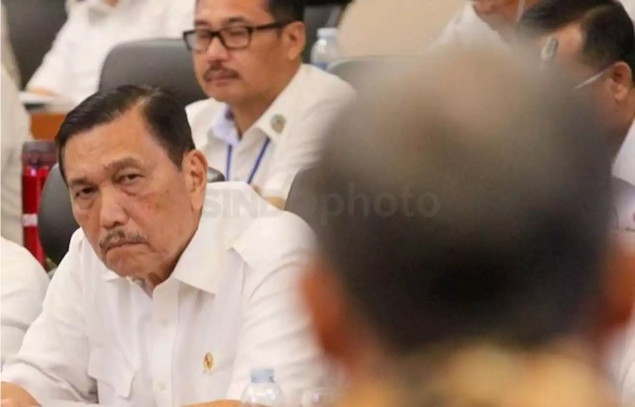 Luhut: Insentif Kendaraan Listrik Tidak Diberikan Langsung ke Konsumen