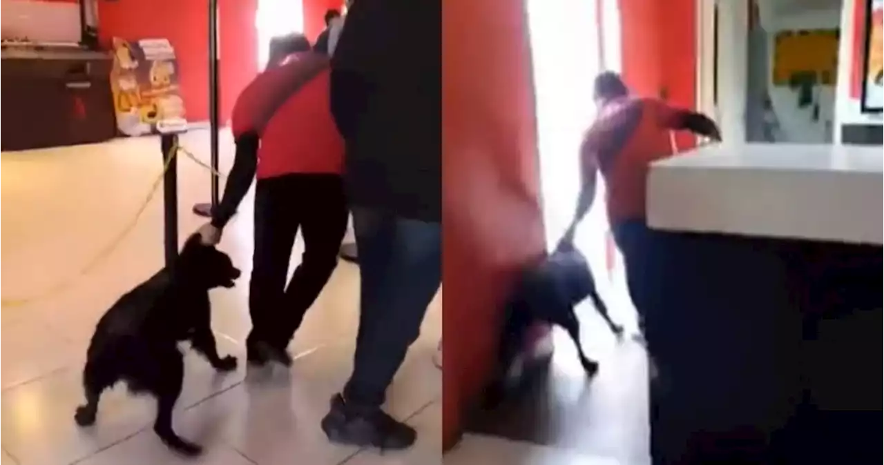 VIDEO: Empleado de Cinemex saca con violencia a un perrito de sus instalaciones