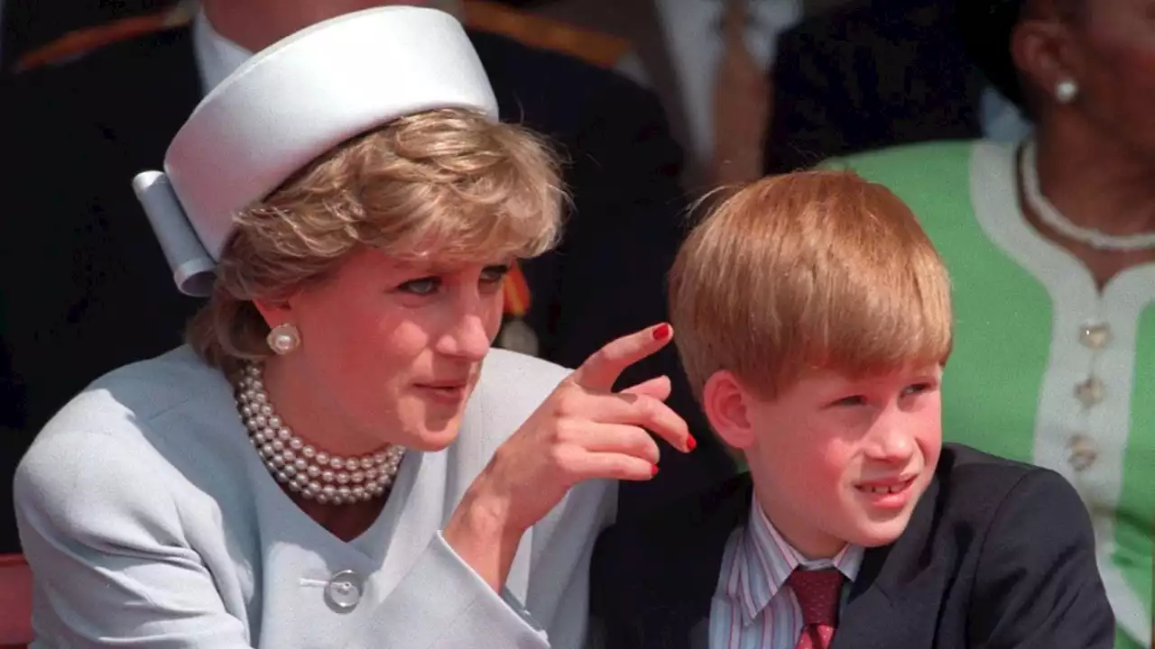 Prince Harry hails Diana's 'power of connection' as he marks 40 years of HIV charity