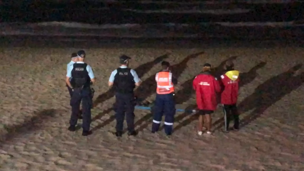 Freaky find on Sydney beach sparks frenzied search