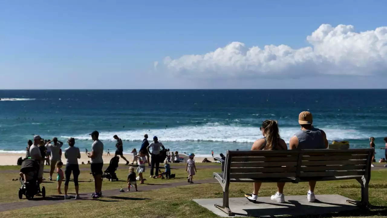 Sydney braces for hottest day in two years as intense heatwave hits