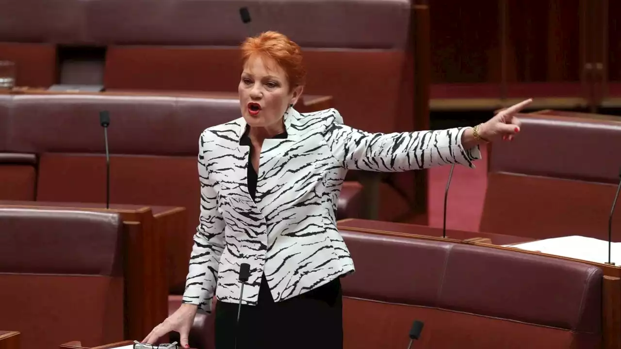 Voice activists are a ‘bunch of hypocrites’: Hanson slams Minister for Indigenous Australians