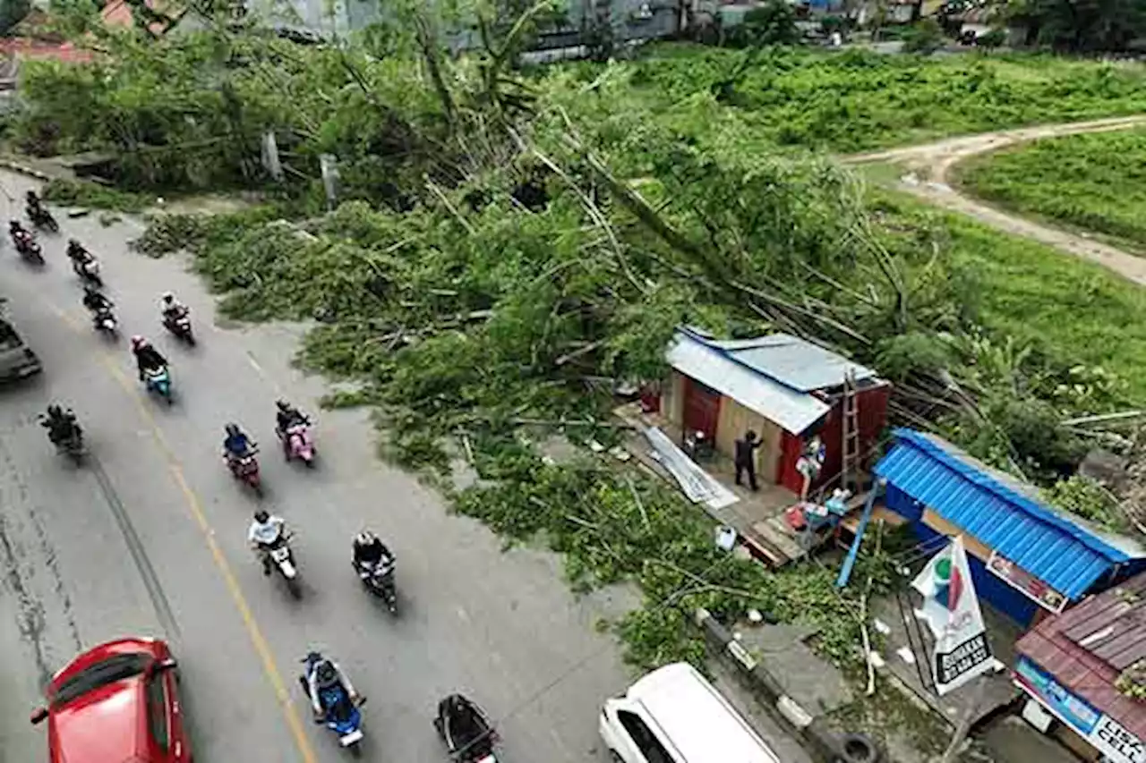 Badai Terjang Kendari, 3 Warga Meninggal Tertimpa Pohon dan Tersambar Petir