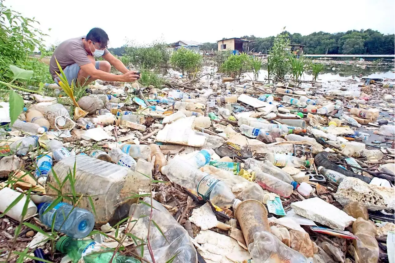 Banking on a ban to save the planet