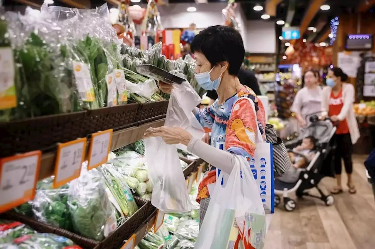 S’poreans urged to ‘buy local’ as vegetable farms in Malaysia hit by floods