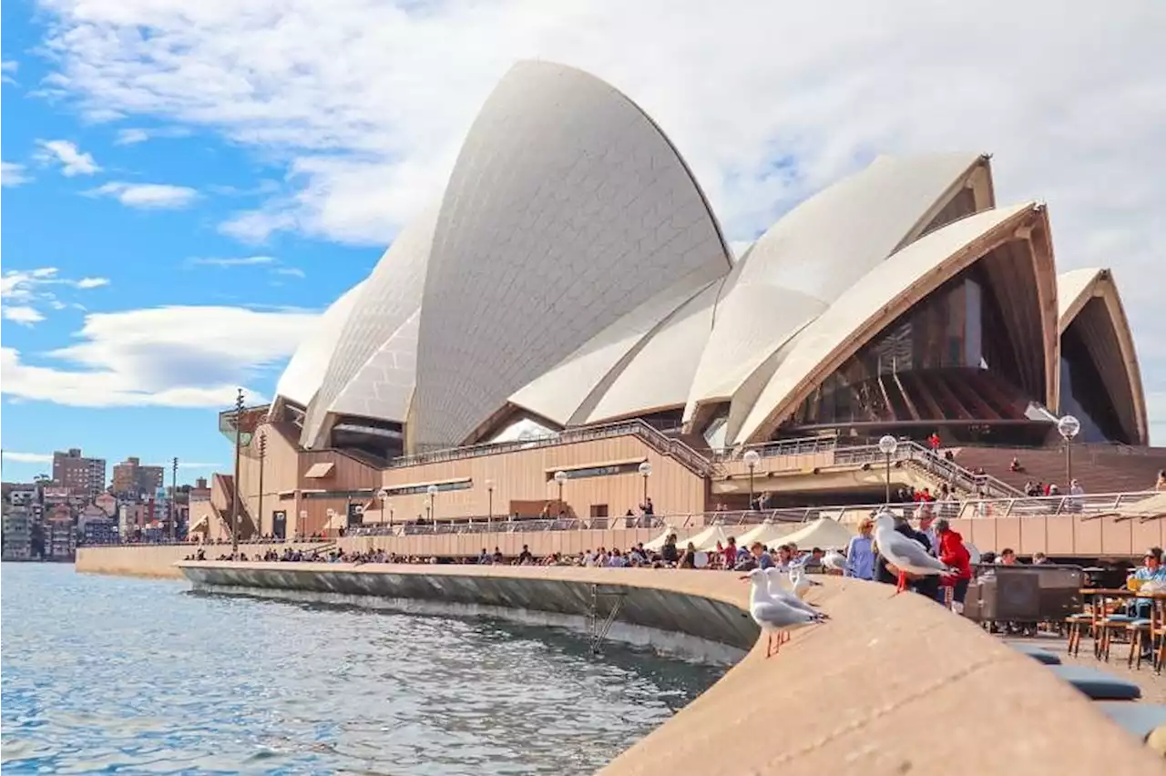 Sydney set to swelter through hottest day in more than two years