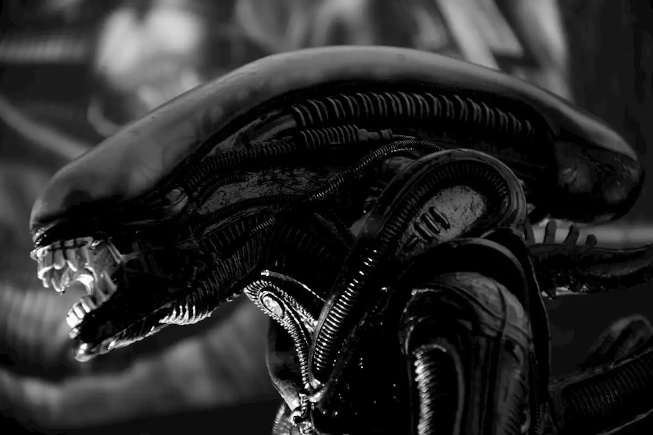 « Alien » : le nouveau film lance son tournage, le casting et le synopsis dévoilés