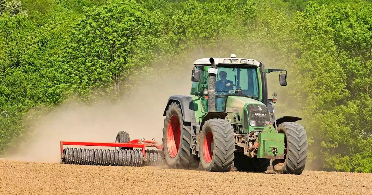 Regenmangel nicht das einzige Problem: Landwirte und Obst- und Gartenbauvereine im Saarland schlagen Alarm