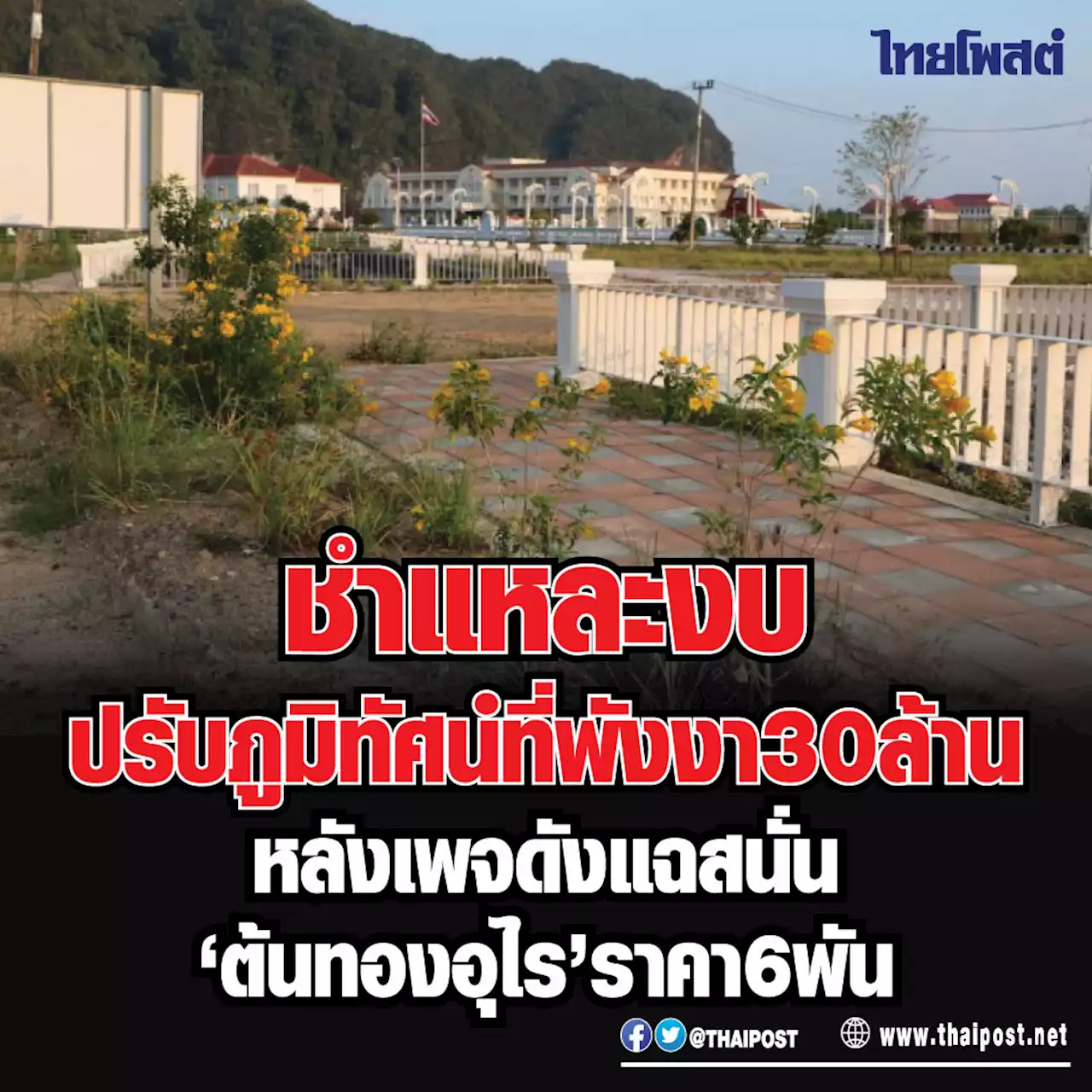 ชำแหละงบปรับภูมิทัศน์ที่พังงา 30 ล้าน หลังเพจดังแฉสนั่น 'ต้นทองอุไร' ราคา 6 พัน