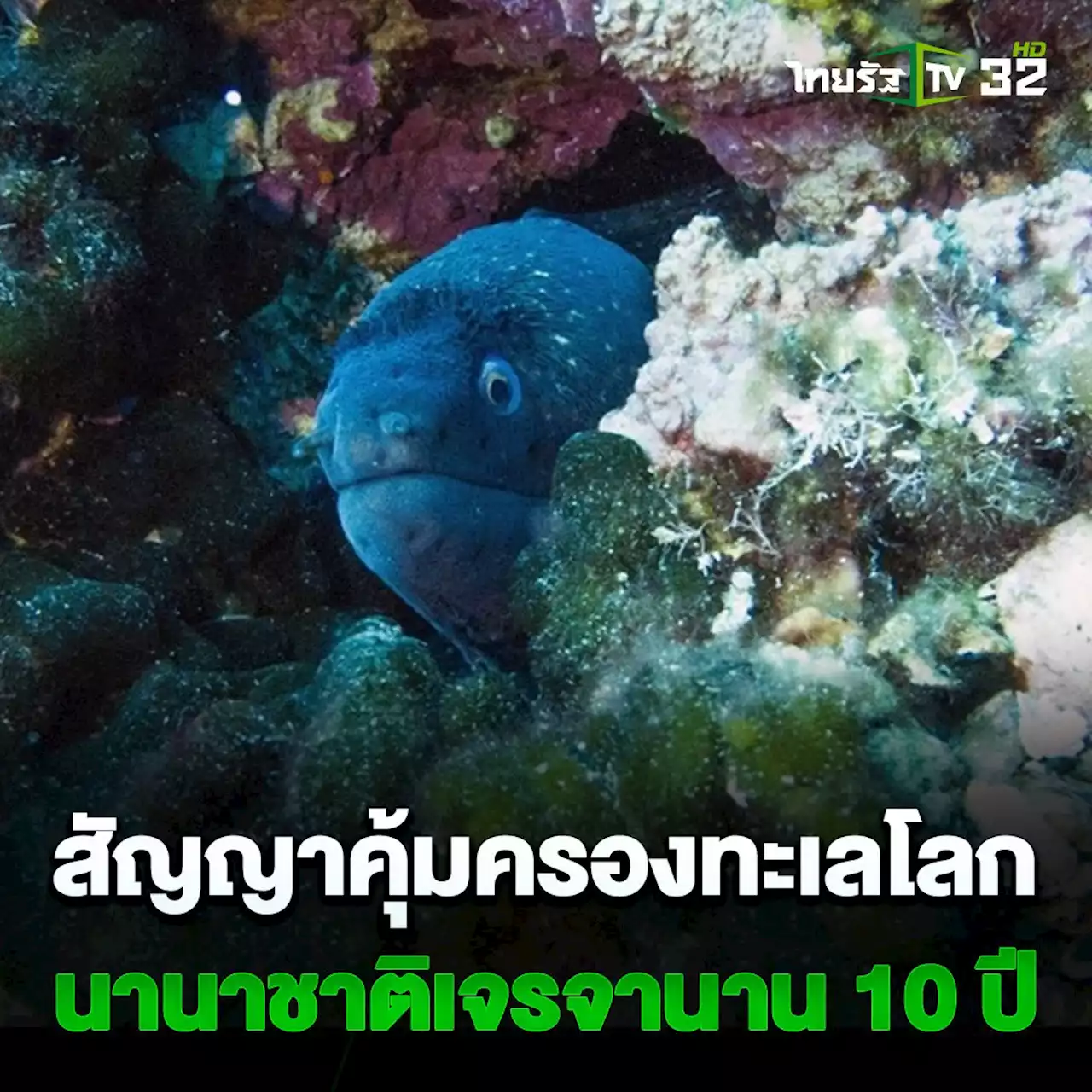 นานาชาติบรรลุสนธิสัญญาคุ้มครองทะเล 30% ของโลก หลังเจรจามา 10 ปี