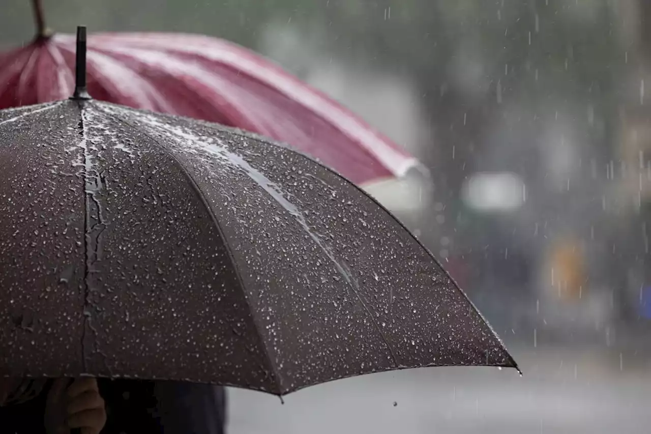 Scattered afternoon showers, thundershowers expected in Gauteng