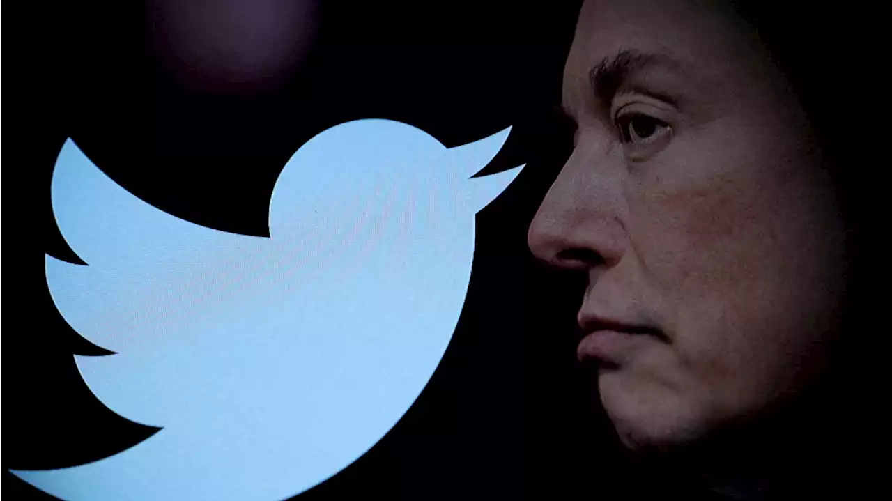 Bodyguards Follow Elon Musk Everywhere at Twitter HQ, Even to Restroom, Says Engineer