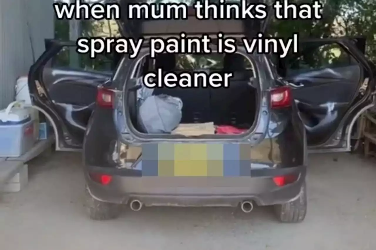 Mum makes epic blunder when trying to clean her car - and everyone's in stitches