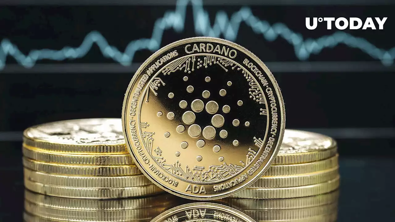 80% of Cardano (ADA) Holders Suffer Losses: IntoTheBlock