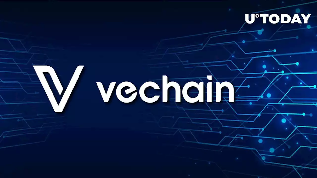 VeChain (VET) Set for New Era With Latest Whitepaper Release, Here's What's New