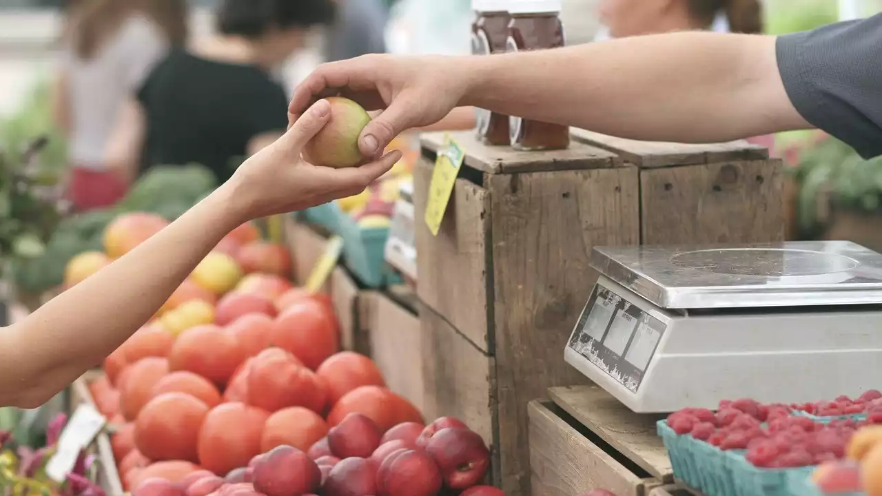 ¿Se debería aprobar en España una cesta de la compra topada como en Francia?