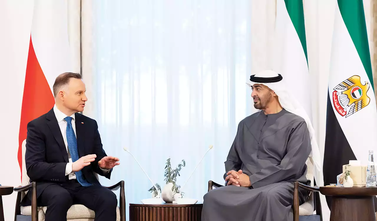 رئيس الدولة يبحث مع رئيس بولندا القضايا محل الاهتمام المشترك