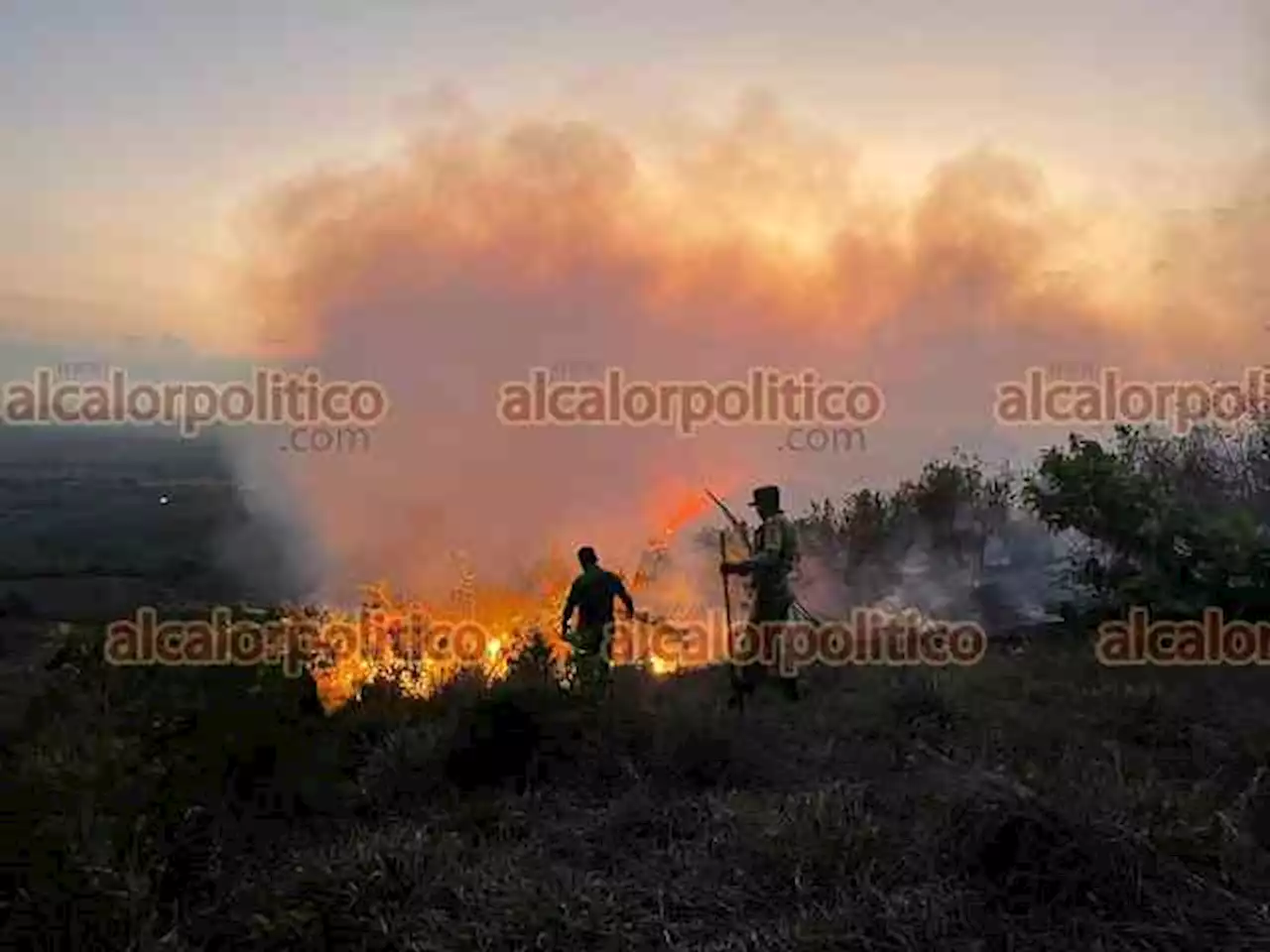 Incendios forestales son por descuido humano, lamentan