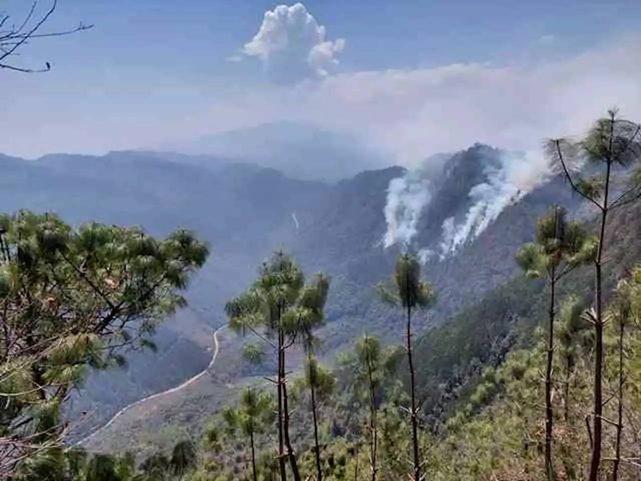 Reportan controlado en un 90 por ciento incendio en Tequila