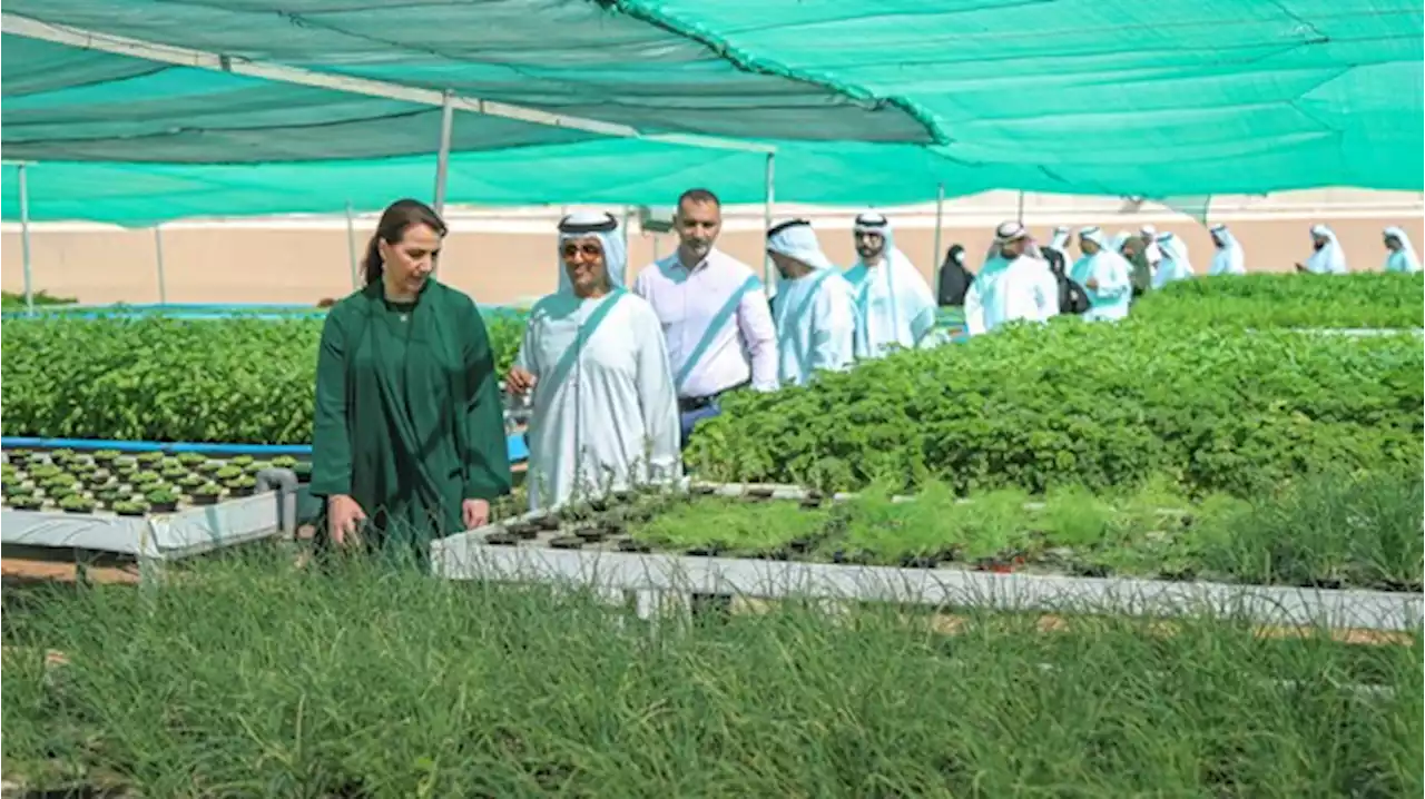 وزارة التغير المناخي والبيئة تطلق برنامج رواد الغذاء والزراعة