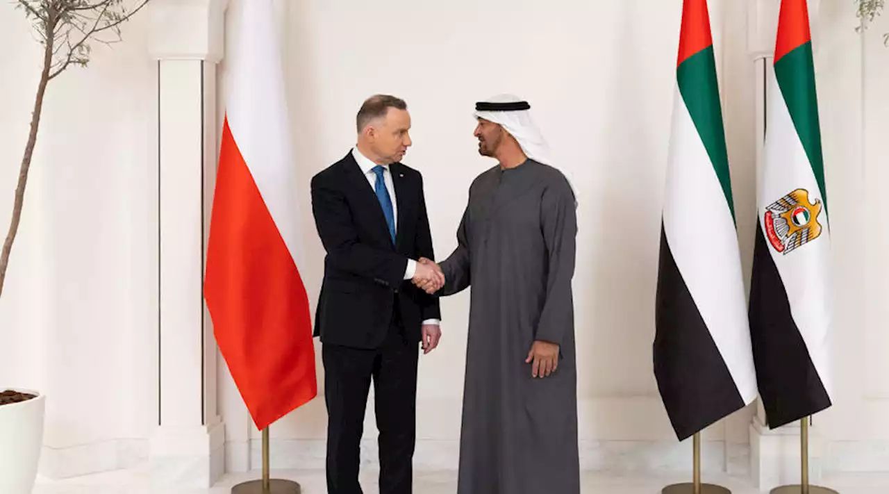 محمد بن زايد ورئيس بولندا يؤكدان الحرص على توسيع الروابط | صحيفة الخليج
